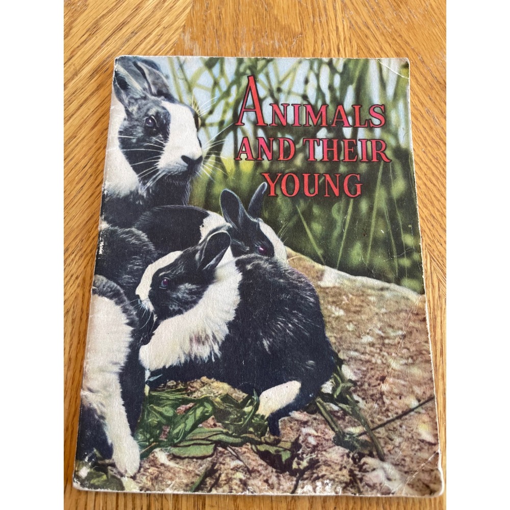 Row‎ Peterson Animals and Their Young Primary Book 1951 Multicolor Good Vintage